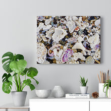 Load image into Gallery viewer, Sugar Beach Sea Shells Canvas Gallery Wraps
