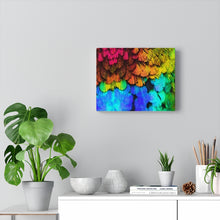Load image into Gallery viewer, Hummingbird Misico Canvas Gallery Wraps
