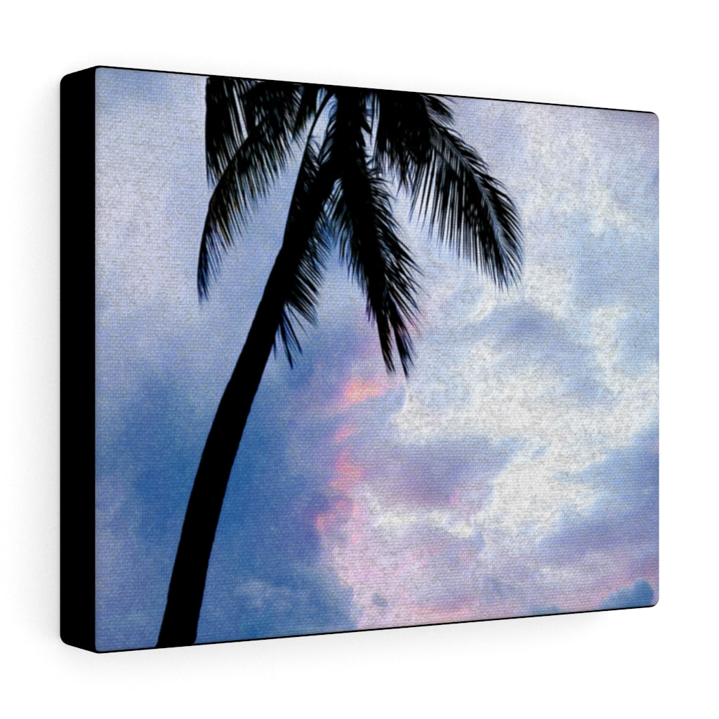 Sunset Palm Canvas Gallery Wraps