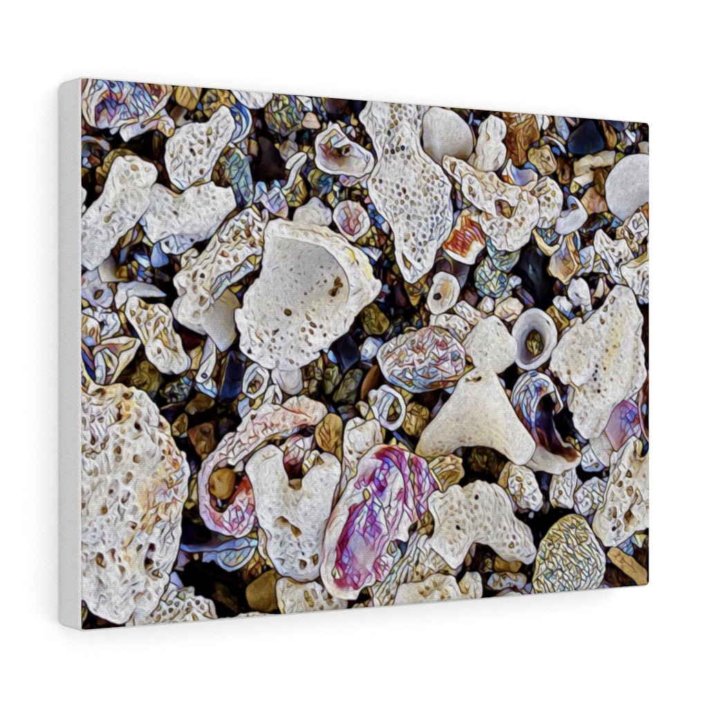 Sugar Beach Sea Shells Canvas Gallery Wraps